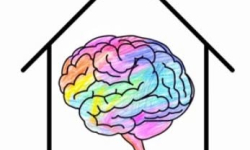 All Brains Belong VT - Healthcare is Community: Brain Club® Live from Kellogg-Hubbard Library 9/8/2026 at 6:00PM