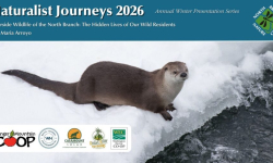 Naturalist Journeys 2026: Riverside Wildlife of the North Branch: The Hidden Lives of Our Wild Residents LIVE 3/12/2026 at 6:30PM