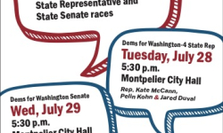 The Bridge - Dems for State Senate Candidate Forum LIVE 7/29/2026 at 5:30PM