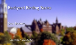 Osher Lifelong Learning Institute - Backyard Birding Basics 10/26/2022