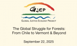 The Global Struggle for Forests: From Chile to Vermont and Beyond 9/22/2025