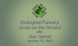 North Branch Nature Center - Ecological Forestry: Boots on the Ground with Alex Barrett 1/16/2025
