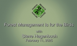 North Branch Nature Center - Forest Management is for the Birds with Steve Hagenbuch 2/11/2025