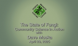North Branch Nature Center - The State of Funghi: Community Science in Action 4/29/2025
