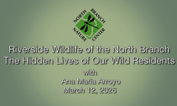 North Branch Nature Center - Riverside Wildlife of the North Branch with Ana Maria Arroyo 3/12/2026