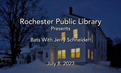 Rochester Public Library - Bats with Jerry Schneider!