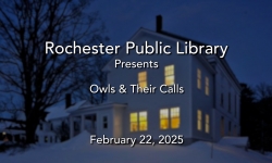 Rochester Public Library - Owls and Their Calls 2/22/2025