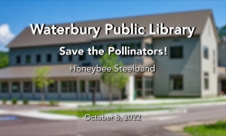 Waterbury Public Library - The Honeybee Steelband 10/8/2022