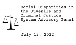 Racial Disparities Advisory Panel - July 12, 2022