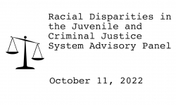 Racial Disparities Advisory Panel - October 11, 2022