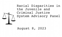 Racial Disparities Advisory Panel - August 8, 2023 [RDAP]