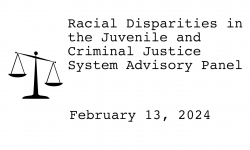 Racial Disparities Advisory Panel - February 13, 2024 [RDAP]