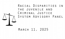 Racial Disparities Advisory Panel - March 11, 2025 [RDAP]