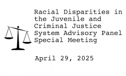 Racial Disparities Advisory Panel - April 29, 2025 [RDAP]