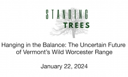 Standing Trees Vermont - Hanging in the Balance: The Uncertain Future of Vermont's Wild Worcester Range 1/22/2024