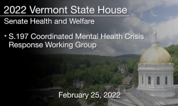 Vermont State House - S.197 Coordinated Mental Health Crisis Response Working Group 2/25/2022