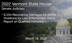 Vermont State House - S.254 Recovering Damages for Article 11 Violations by Law Enforcement and a Report on Qualified Immunity 3/16/2022