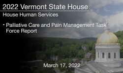 Vermont State House - Palliative Care and Pain Management Task Force Report 3/17/2022