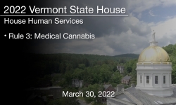 Vermont State House - Rule 3: Medical Cannabis 3/30/2022