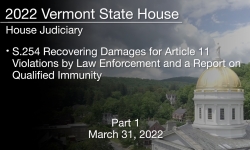 Vermont State House - S.254 Recovering Damages for Article 11 Violations by Law Enforcement and a Report on Qualified Immunity Part 1 3/31/2022