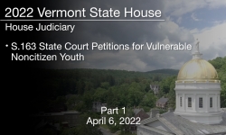 Vermont State House - S.163 State Court Petitions for Vulnerable Noncitizen Youth Part 1 4/6/2022
