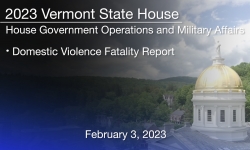 Vermont State House - Domestic Violence Fatality Report 2/3/2023