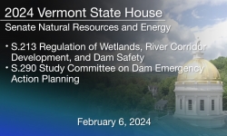 Vermont State House - S.213 and S.290 2/6/2024