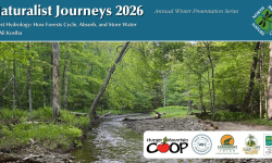 Naturalist Journeys 2026: Forest Hydrology: How Forests Cycle, Absorb, and Store Water LIVE