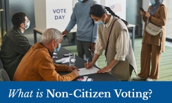 What is Non-Citizen Voting?