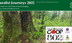 Wilderness Works Too: The Promise of Passive Rewilding with Shelby Perry