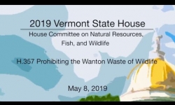 Vermont State House - H.357 Prohibiting the Wanton Waste of Wildlife 5/8/19