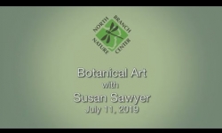 North Branch Nature Center - Botanical Art with Susan Sawyer