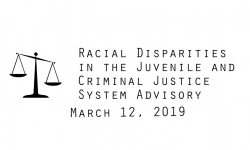 Racial Disparities Advisory Panel - March 12, 2019