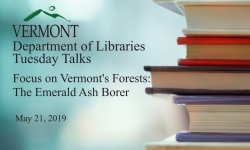 VT Dept of Libraries Tuesday Talks - Focus on Vermont's Forests: The Emerald Ash Borer