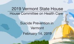 Vermont State House - Suicide Prevention in Vermont 2/14/19