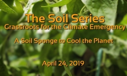 The Soil Series - A Soil Sponge to Cool the Planet