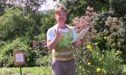 Neth Reads How We Got Stars
