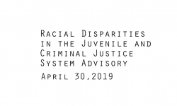 Racial Disparities Advisory Panel - April 30, 2019