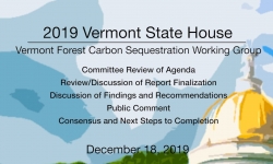 Vermont State House - Vermont Forest Carbon Sequestiation Working Group 12/18/19