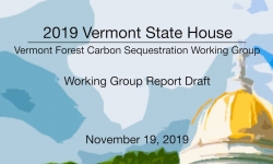 Vermont State House - Vermont Forest Carbon Sequestration Working Group - 11/19/19