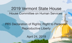 Vermont State House - PR5 Declaration of Rights; Right to Personal Reproductive Liberty 4/24/19