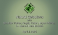 North Branch Nature Center - Natural Selections April 4, 2025