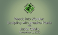 North Branch Nature Center - Weeds into Wonder: Sculpting with Invasive Plants with Justin Cifello 11/3/2025
