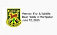 Vermont Fish and Wildlife - Deer Herds in Montpelier