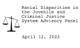 Racial Disparities Advisory Panel - April 12, 2022