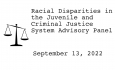 Racial Disparities Advisory Panel - September 13, 2022
