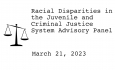 Racial Disparities Advisory Panel - March 21, 2023