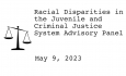 Racial Disparities Advisory Panel - May 9, 2023