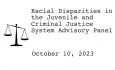 Racial Disparities Advisory Panel - October 10, 2023 [RDAP]