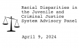 Racial Disparities Advisory Panel - April 9, 2024 [RDAP]